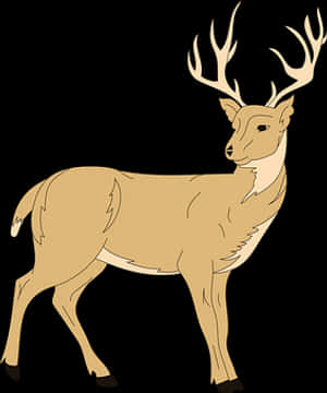Majestic Stag Illustration PNG image with transparent background
