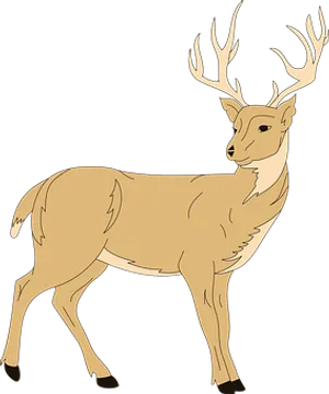 Majestic Stag Illustration PNG Image