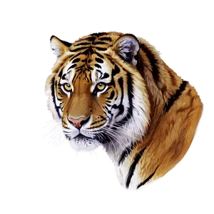 Majestic Tiger Portrait Png Wcm35 PNG Image