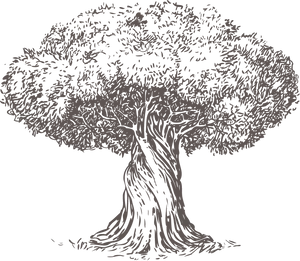 Majestic Tree Silhouette PNG Image