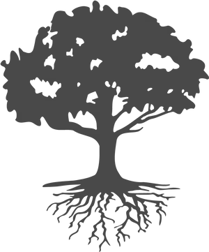 Majestic Tree Silhouette PNG Image