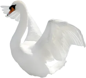 Majestic White Swan Spreading Wings PNG Image