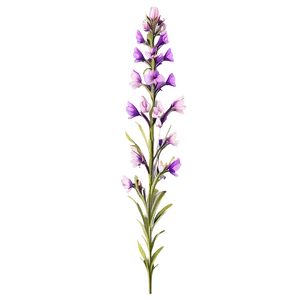 Majestic Wildflower Splendor Png 69 PNG Image