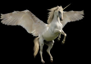 Majestic Winged Unicorn PNG image with transparent background