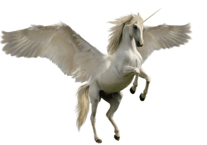 Majestic Winged Unicorn PNG image with transparent background