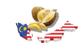 Malaysia Durian Fruit National Flag PNG image with transparent background