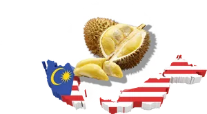 Malaysia Durian Fruit National Flag PNG Image