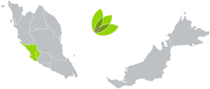 Malaysia Map Green Eco Zone PNG image with transparent background