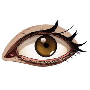 Male Anime Eyes PNG 88 PNG