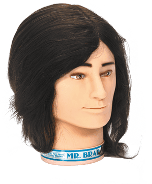 Transparent Manikin Png - Lace Wig, Png Download PNG image with transparent background