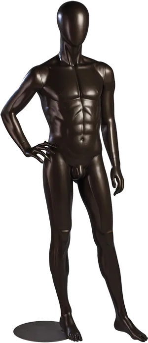 Male Mannequin Posing Black PNG Image