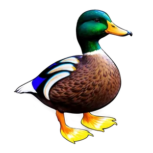 Mallard Duck Clipart Png 36 PNG Image