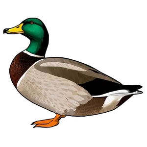 Mallard Duck Outline Png 32 PNG Image