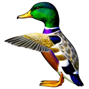 Mallard Duck Scene Png Fvt PNG Image