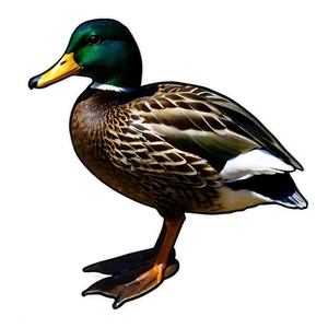 Mallard Duck Silhouette Png Kmd PNG Image