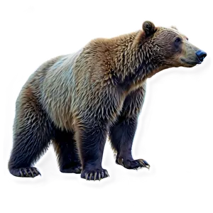 Mama Bear C PNG Image