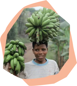 Man Carrying Plantain Bunch PNG Image