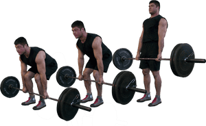 Man Performing Barbell Deadlift Sequence PNG image with transparent background