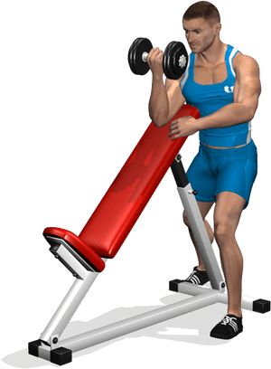 Standing One-arm Dumbbell Curl Over Incline Bench Is - Exercise PNG image with transparent background