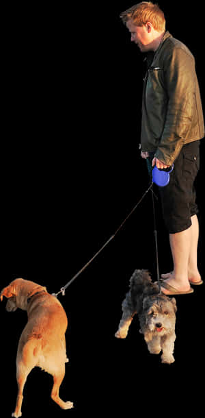 Person Walking Dog Transparent Background, HD Png Download PNG image with transparent background