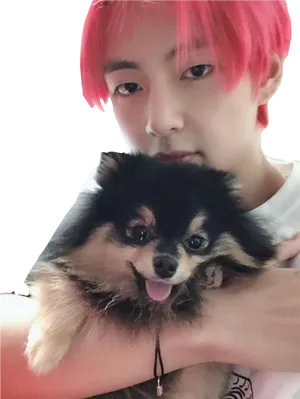 Man_with_ Pink_ Hair_and_ Pomeranian_ Dog PNG Image