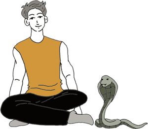 Manand Cobra Calm Encounter PNG image with transparent background