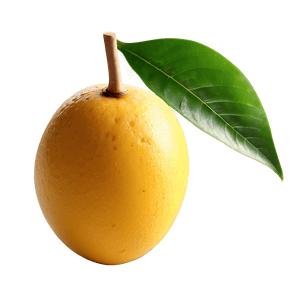 Mango Dessert PNG msw PNG