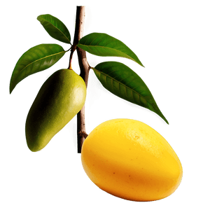 Mango Pulp PNG bub86 PNG