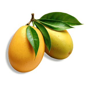 Mango Pulp PNG opn PNG