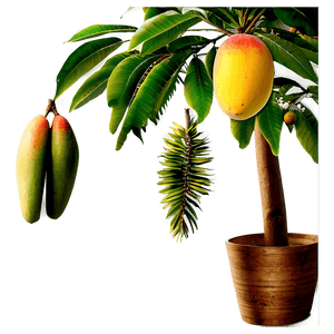 Mango Tree PNG 05232024 PNG