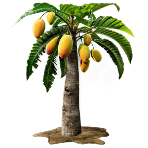 Mango Tree PNG nea PNG