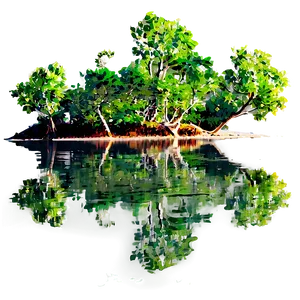 Mangrove Forest Reflection Png Hnl PNG Image