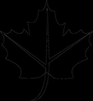 Leaf Autumn - Fall Leaf Icon Png, Transparent Png PNG image with transparent background