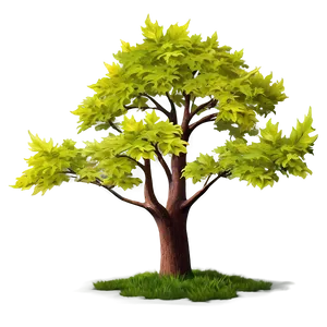 Maple Tree In Early Spring Png Qij PNG Image