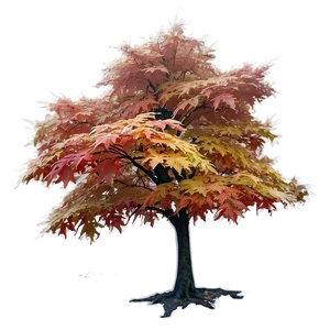 Maple Tree In Foggy Morning Png Tbm PNG Image