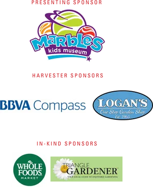 Marbles Kids Museum Sponsor Banner PNG Image