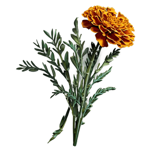 Marigold Bouquet PNG 06112024 PNG image with transparent background