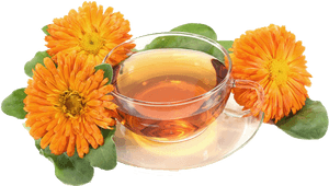 Pot Marigold , Png Download - Calendula Tea Png, Transparent Png PNG image with transparent background