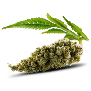 Marijuana Bud PNG 66 PNG image with transparent background