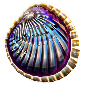 Marine Seashell Clipart Png Nit PNG Image