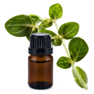 Marjoram Essential Oil Png 06292024 PNG Image