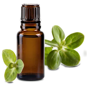 Marjoram Essential Oil Png Rwa14 PNG Image