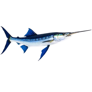 Marlin Fish Tail Png 06242024 PNG Image