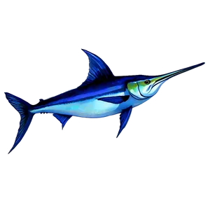 Marlin In Watercolor Png Cfo61 PNG Image