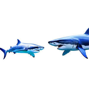 Marlin Vs Shark Png Vsh PNG Image