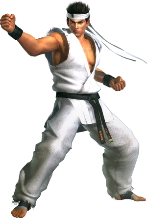 Martial Artistin Combat Pose PNG Image