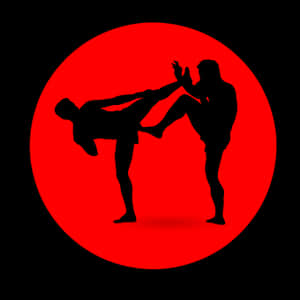 Martial Arts Silhouette Kick PNG image with transparent background