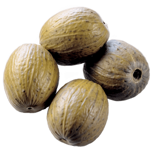 Marula Nut PNG esg PNG with transparent background