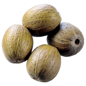 Marula Nut Png Esg PNG Image