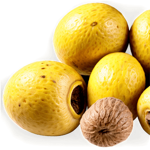 Marula Nut PNG hji25 PNG with transparent background